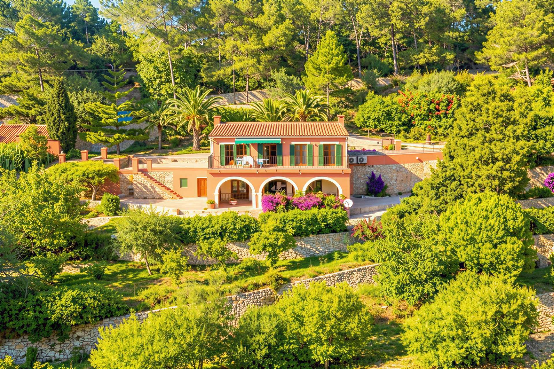 [object Object] - image