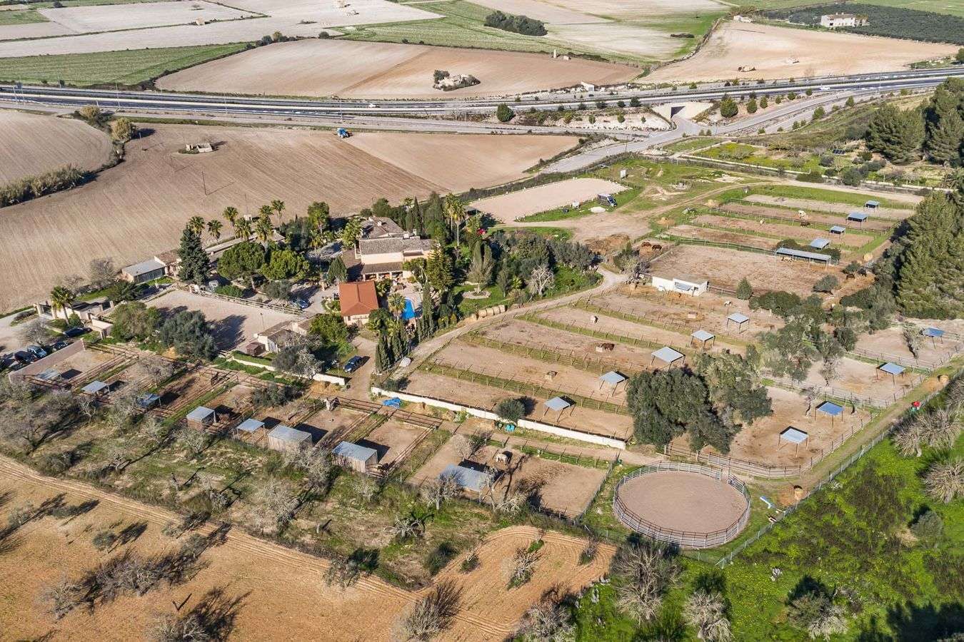 [object Object] - image