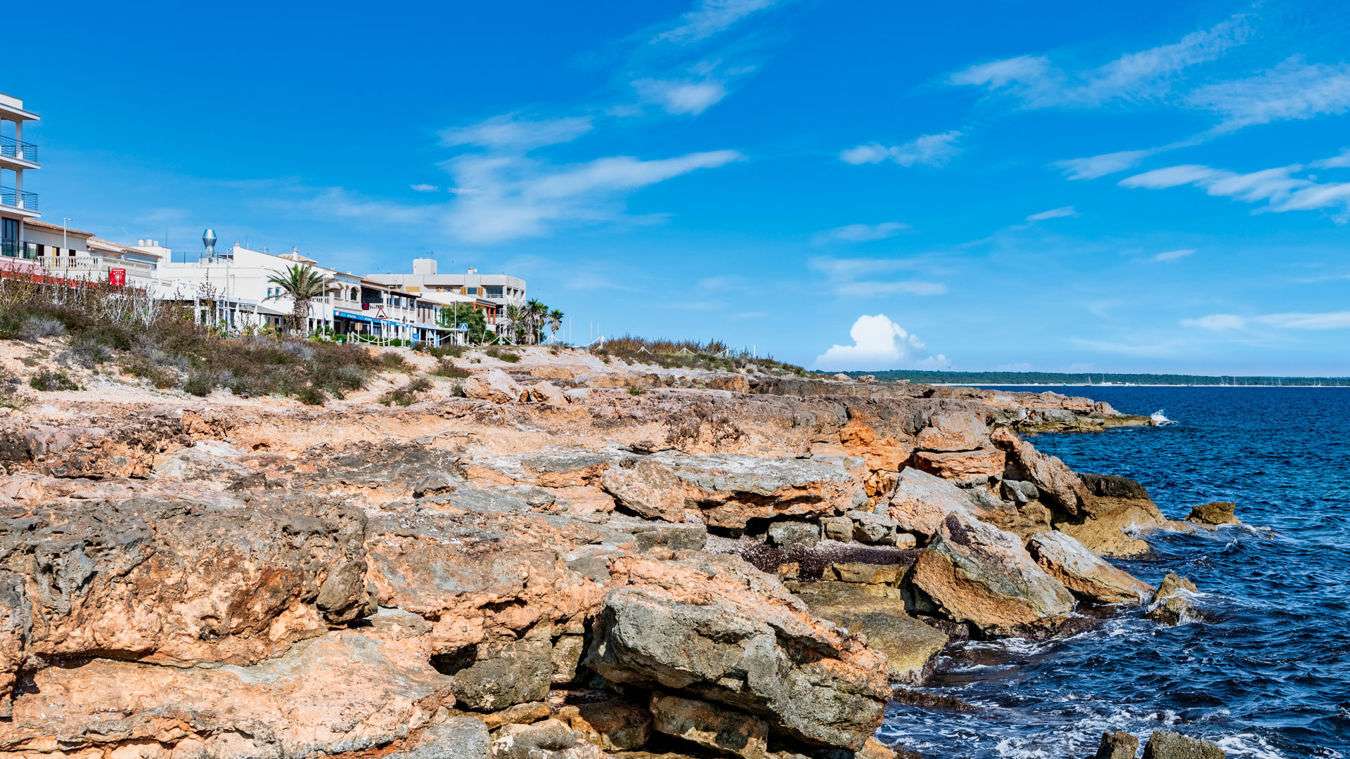 [object Object] - image