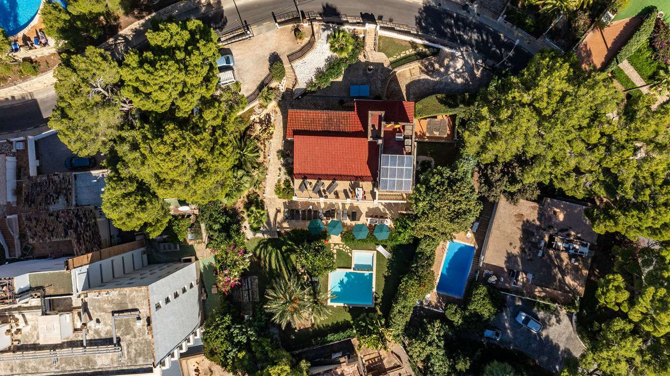 [object Object] - image