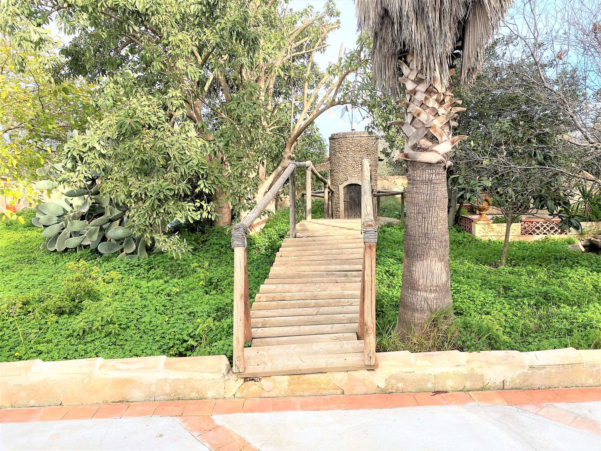 [object Object] - image