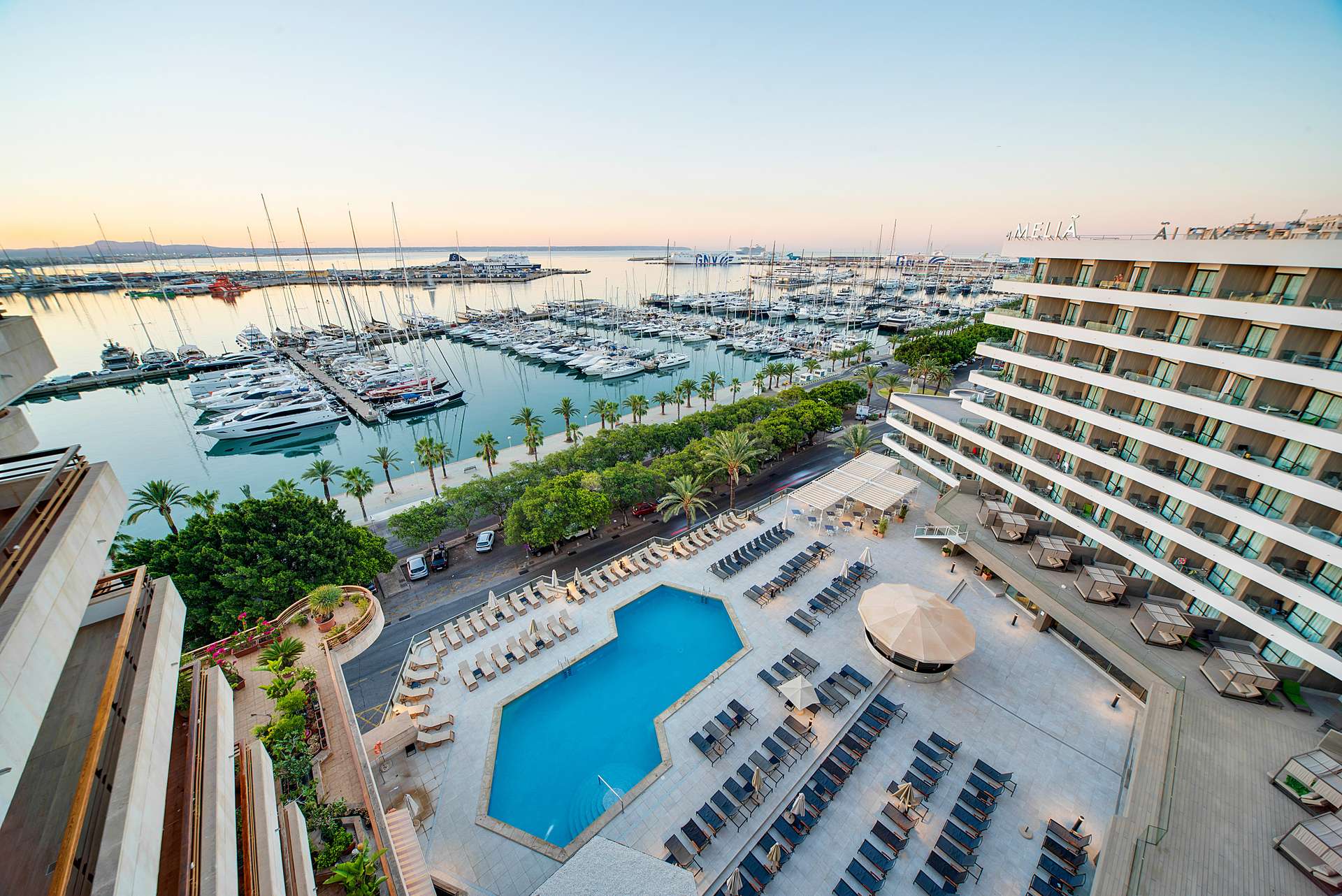 [object Object] - image