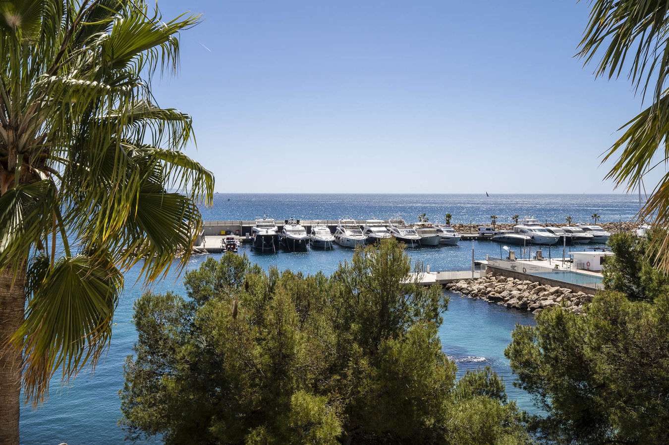 [object Object] - image