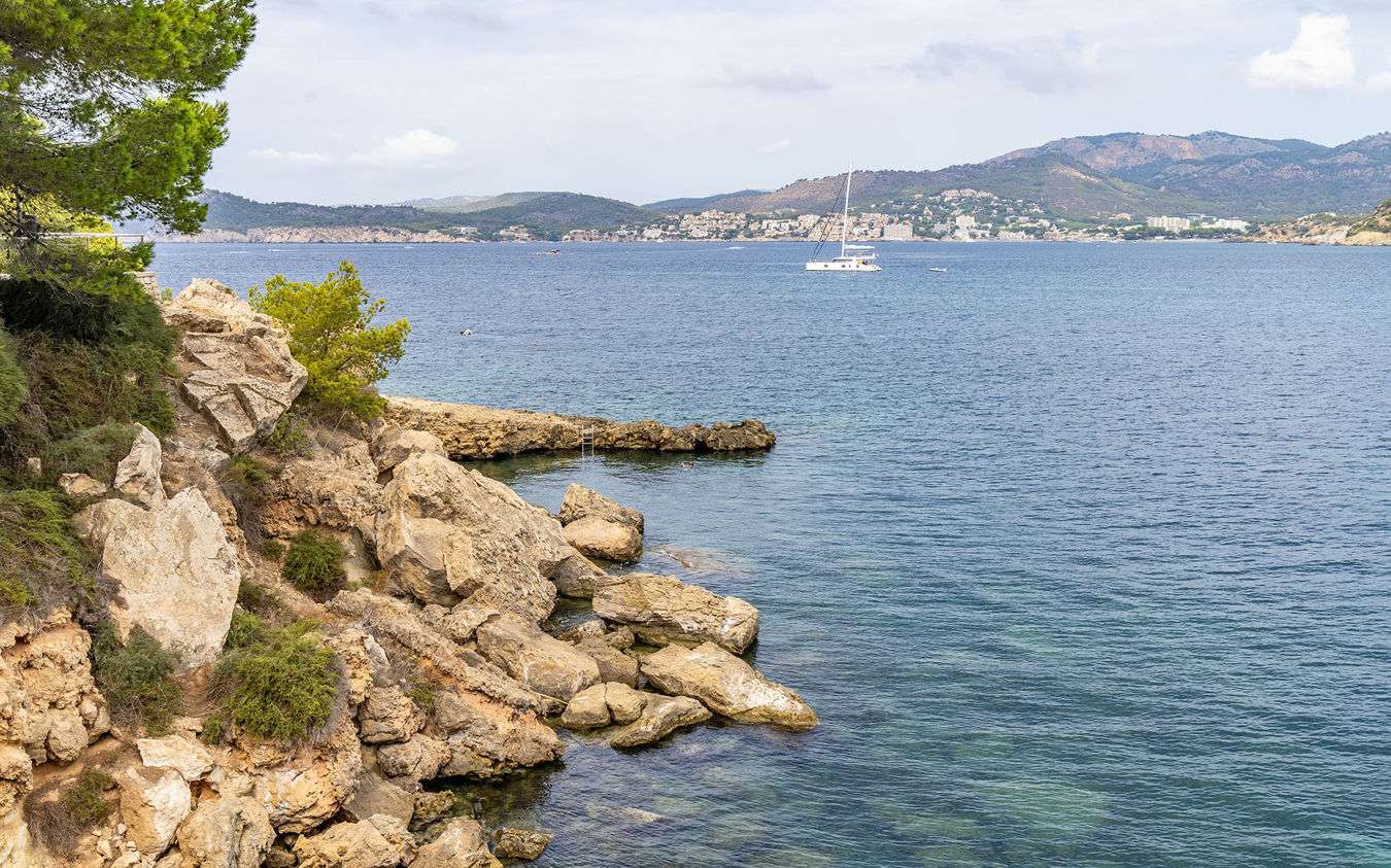 [object Object] - image