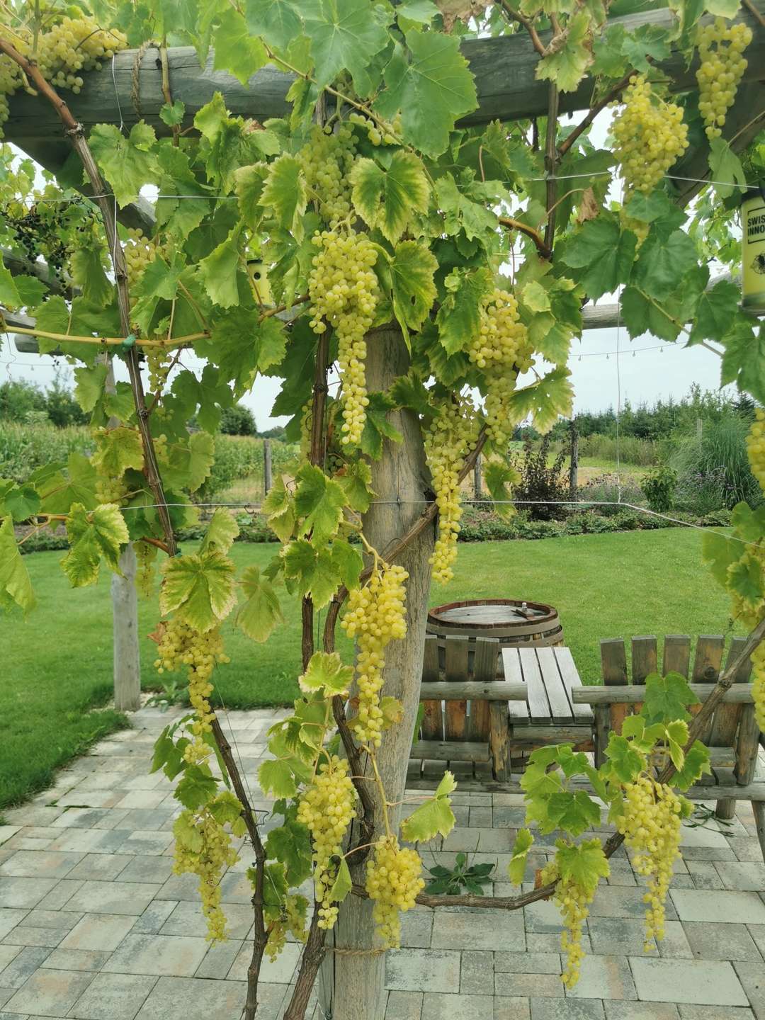 [object Object] - image