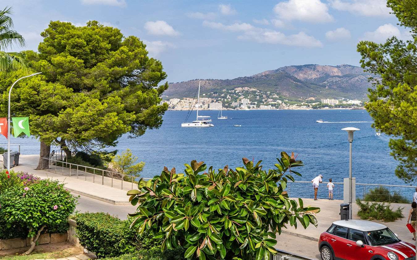 [object Object] - image