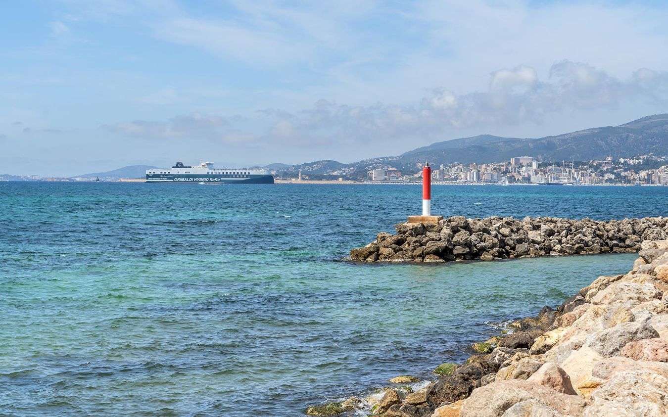 [object Object] - image