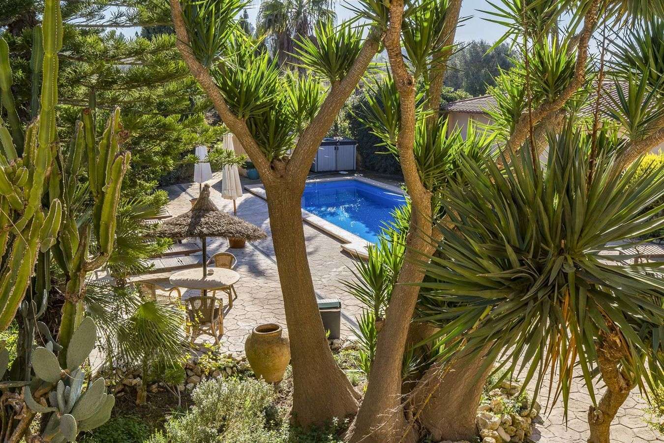 [object Object] - image