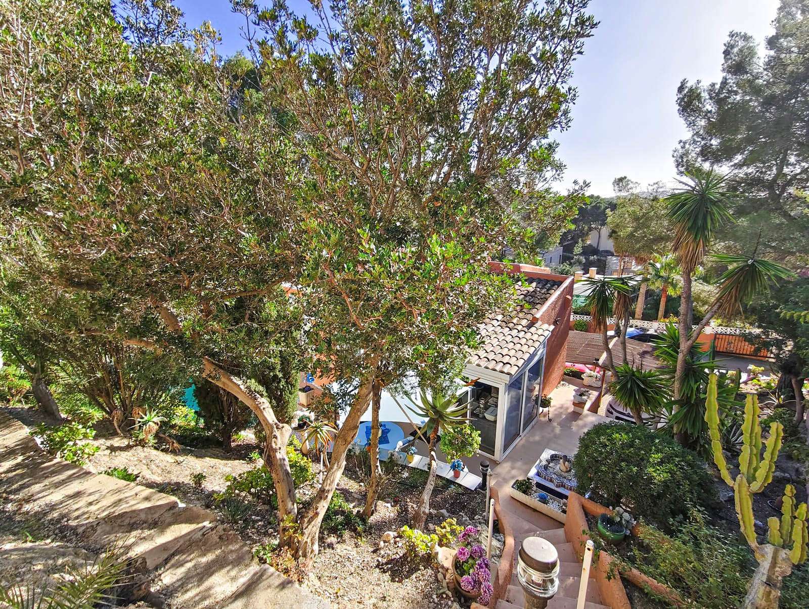 [object Object] - image