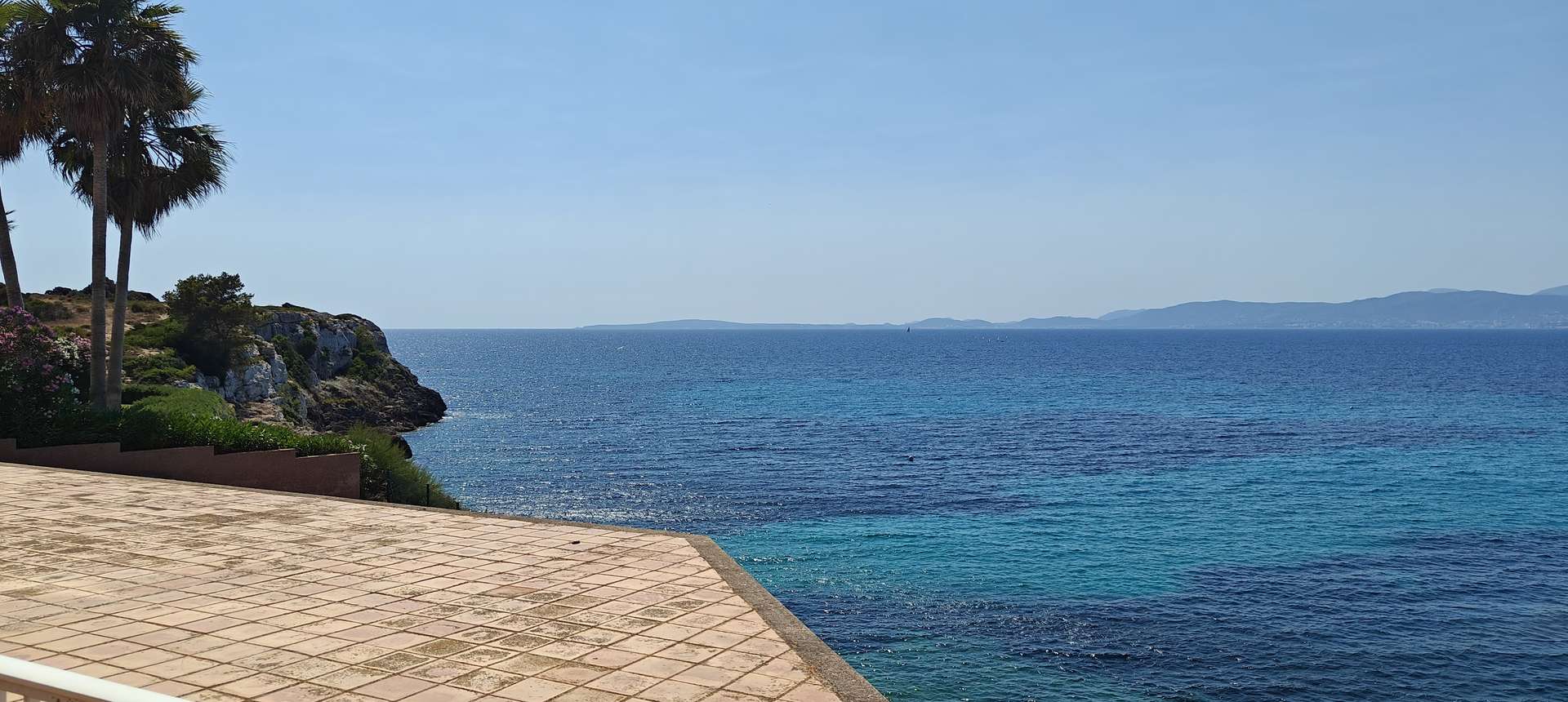 [object Object] - image