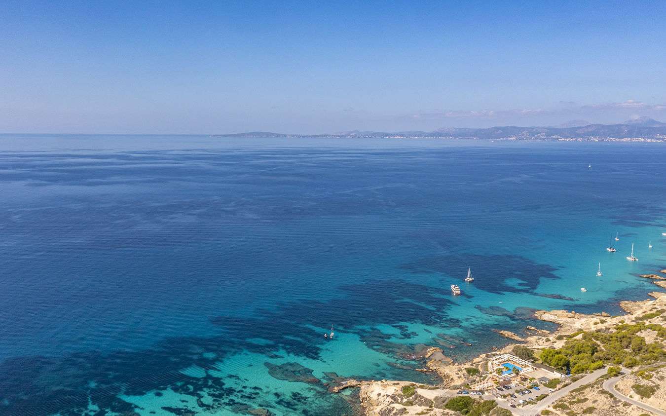 [object Object] - image