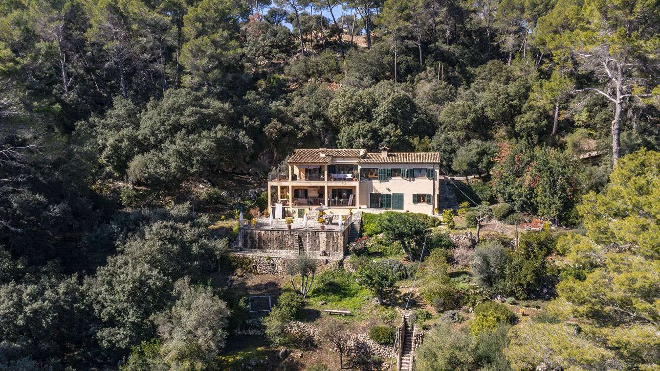 [object Object] - image