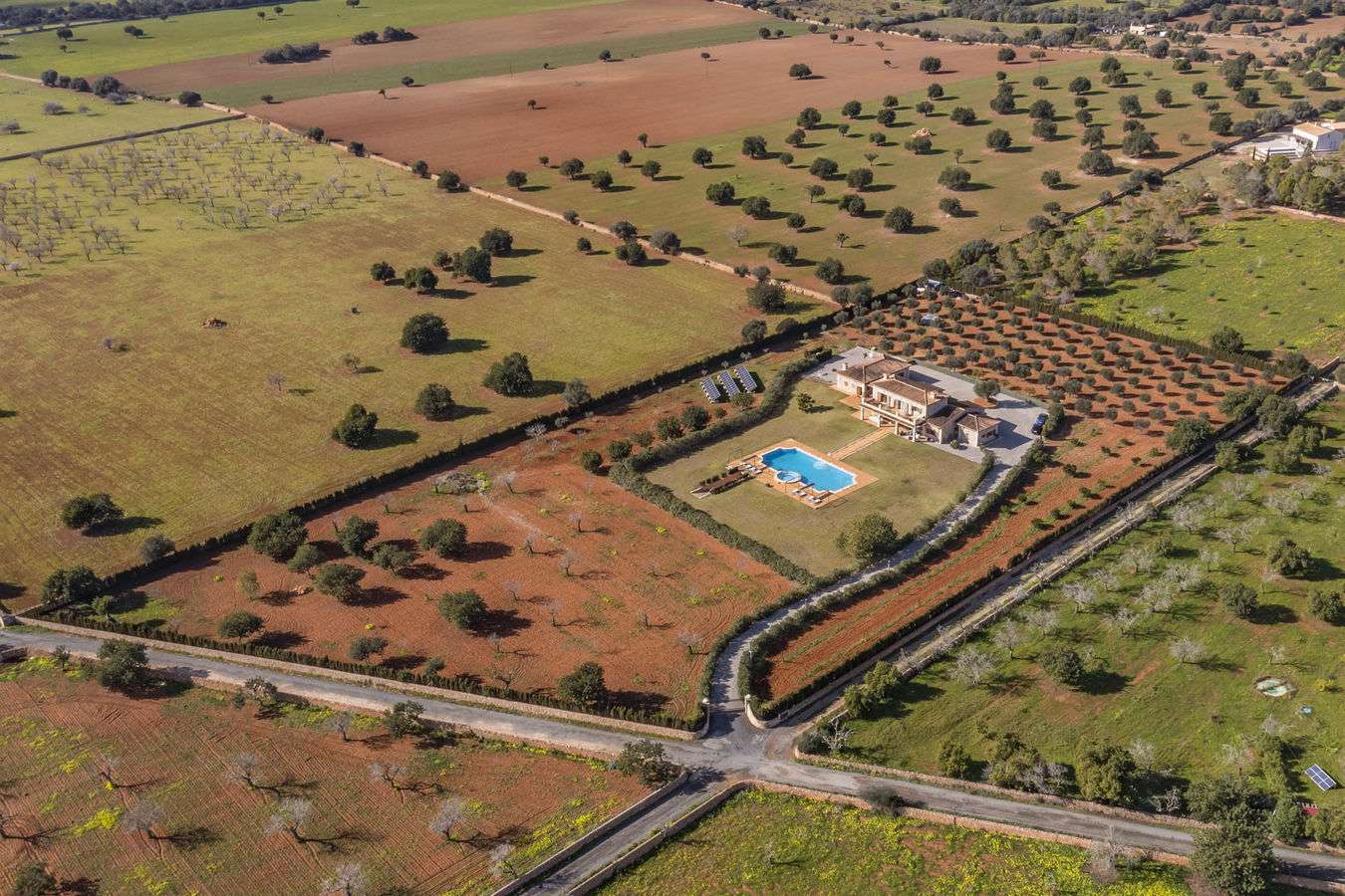 [object Object] - image