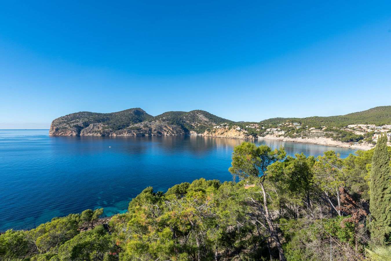 [object Object] - image