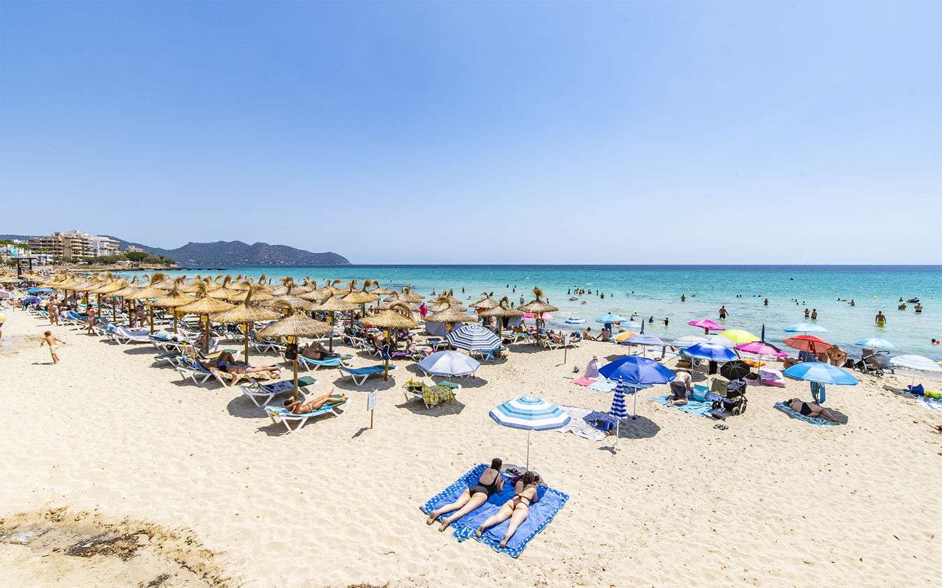 [object Object] - image