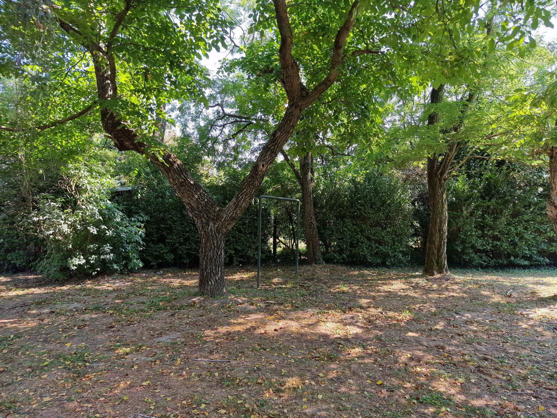 [object Object] - image