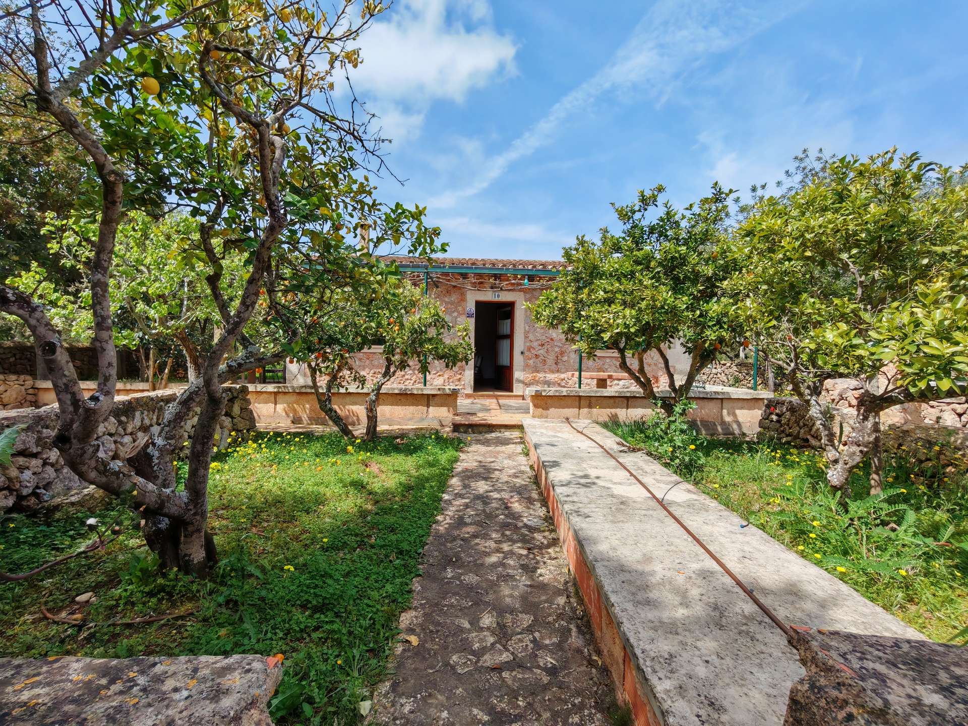 [object Object] - image