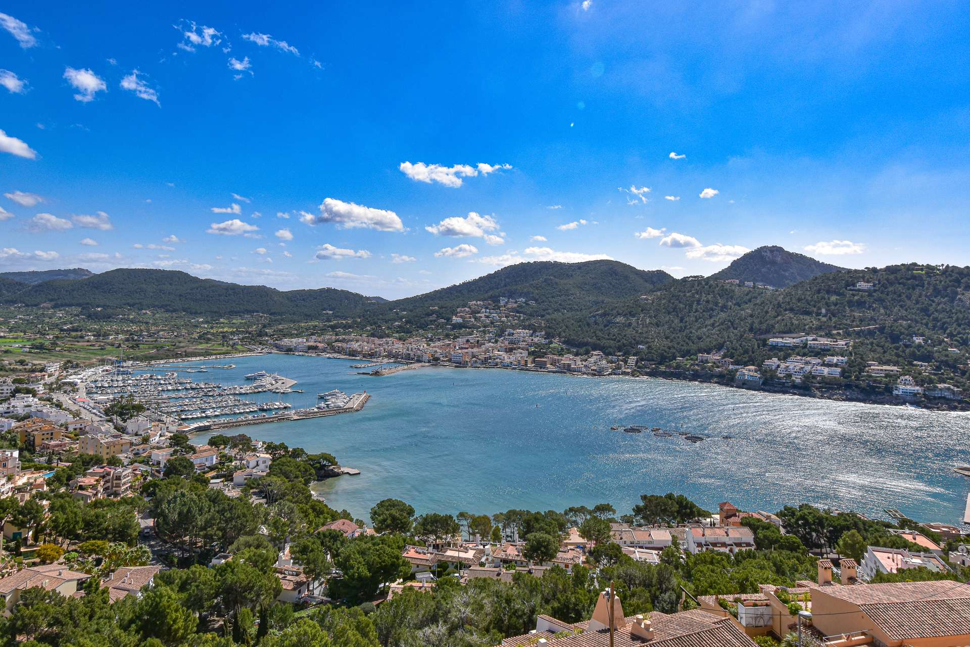 [object Object] - image