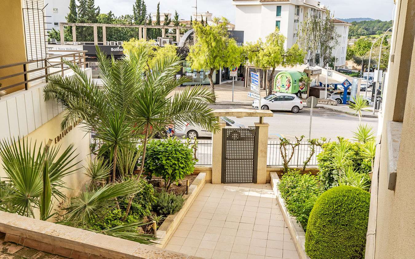 [object Object] - image