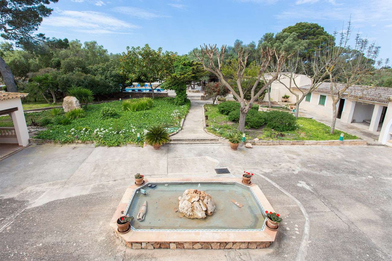 [object Object] - image