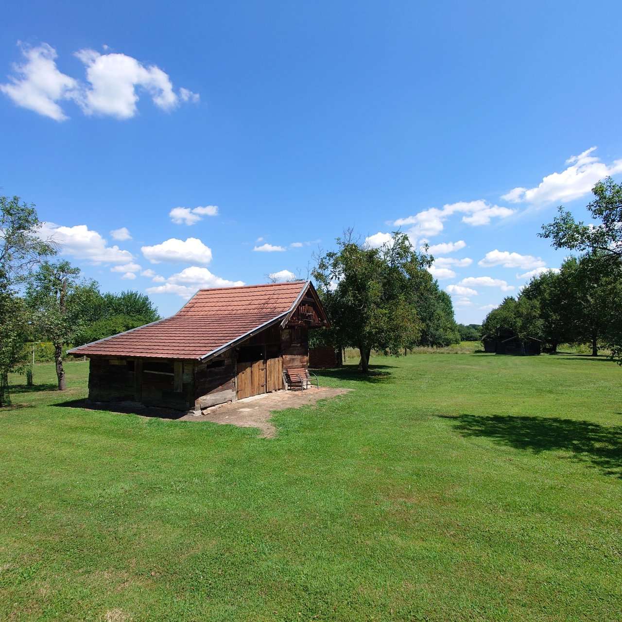 [object Object] - image