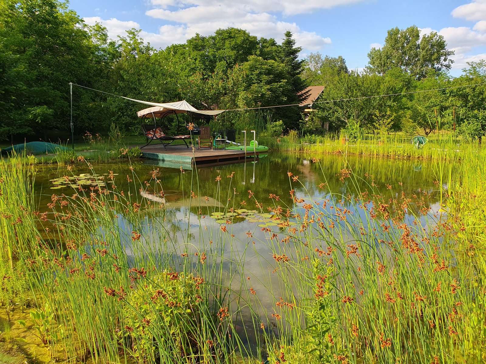 [object Object] - image