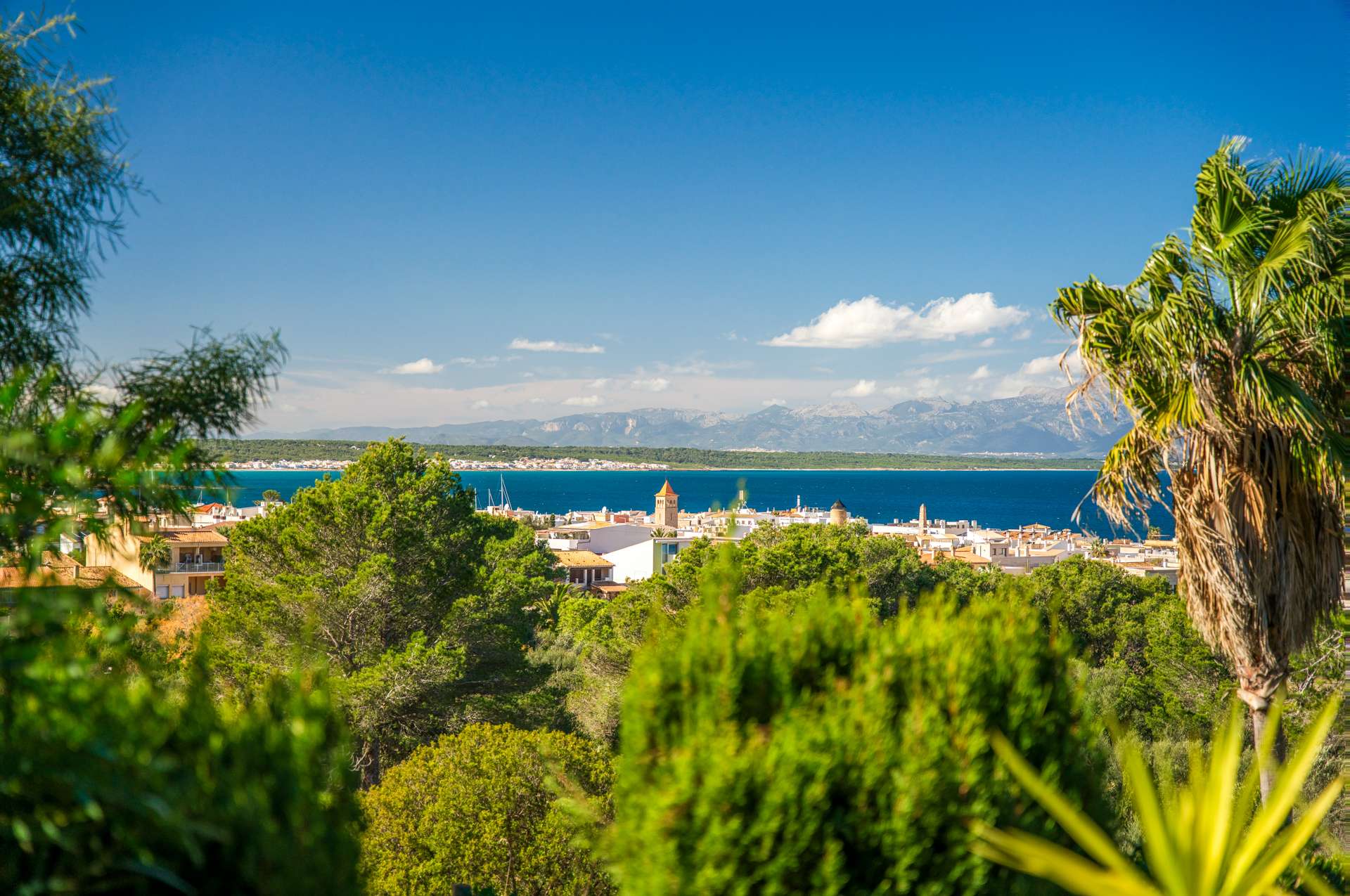 [object Object] - image