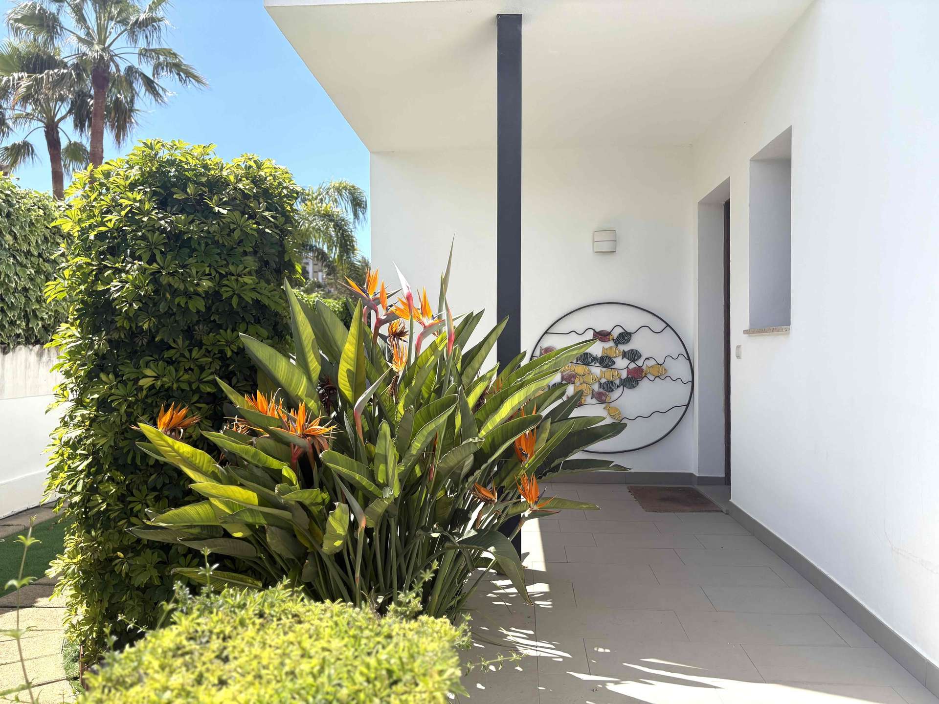 [object Object] - image