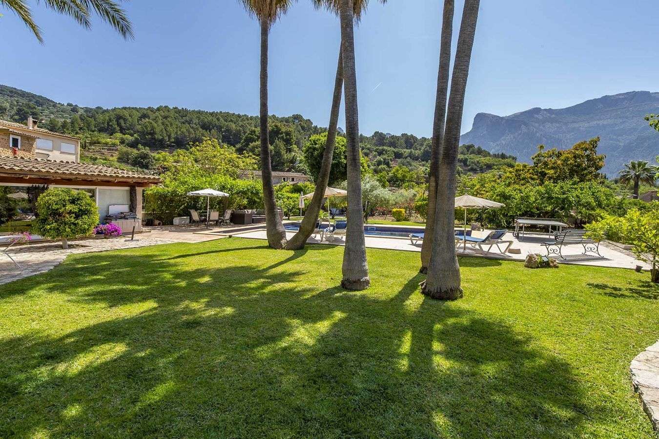 [object Object] - image