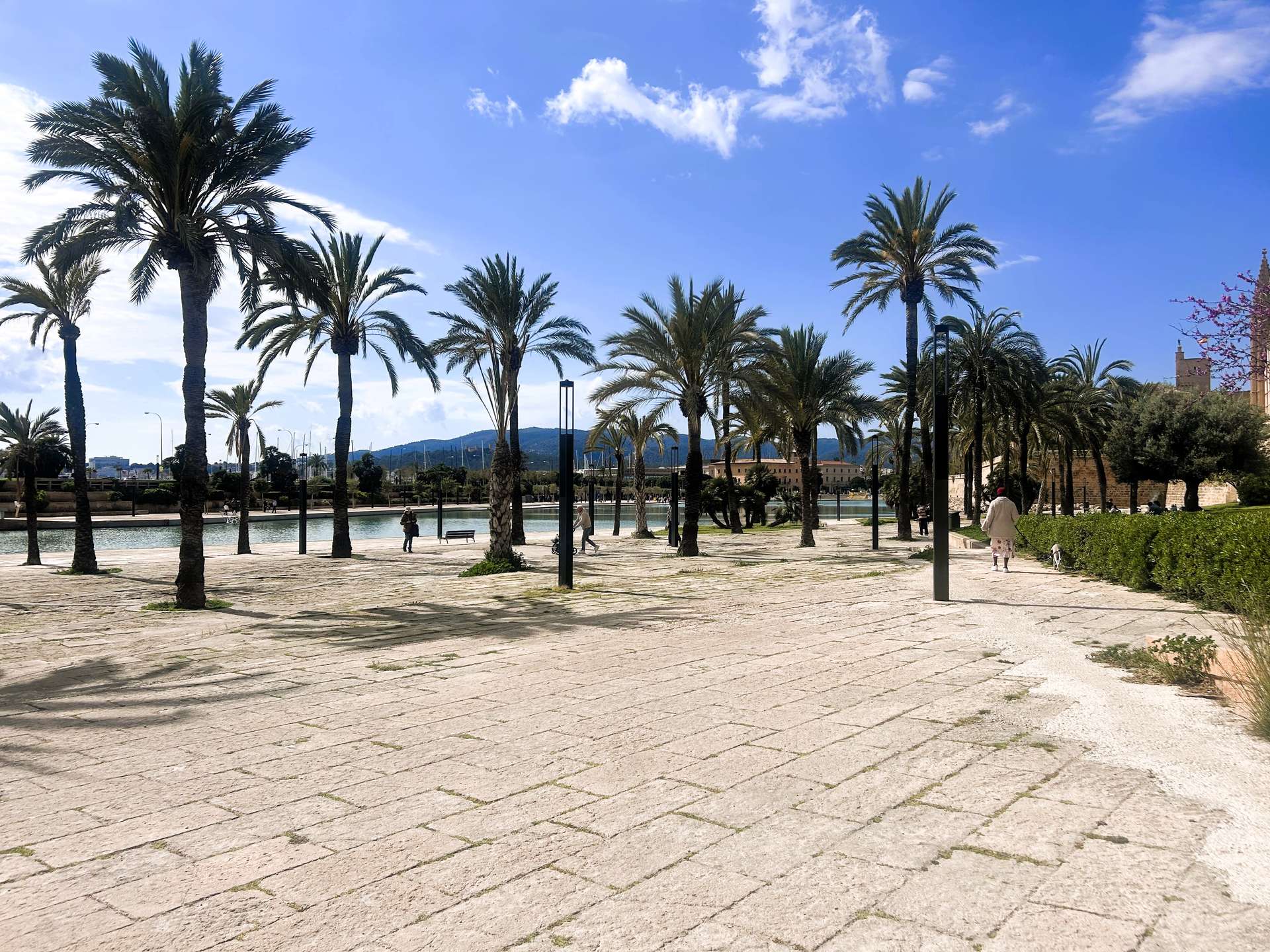 [object Object] - image