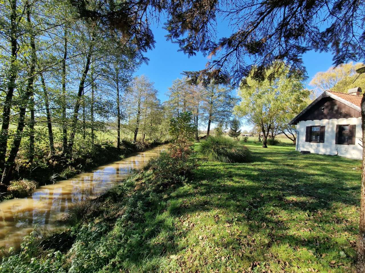 [object Object] - image