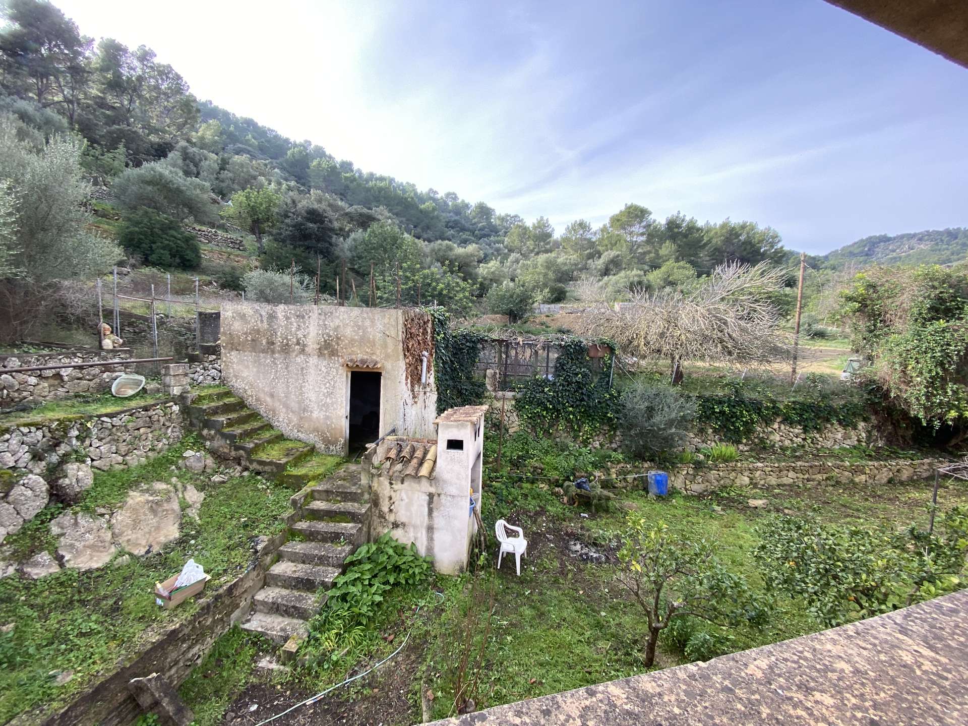 [object Object] - image