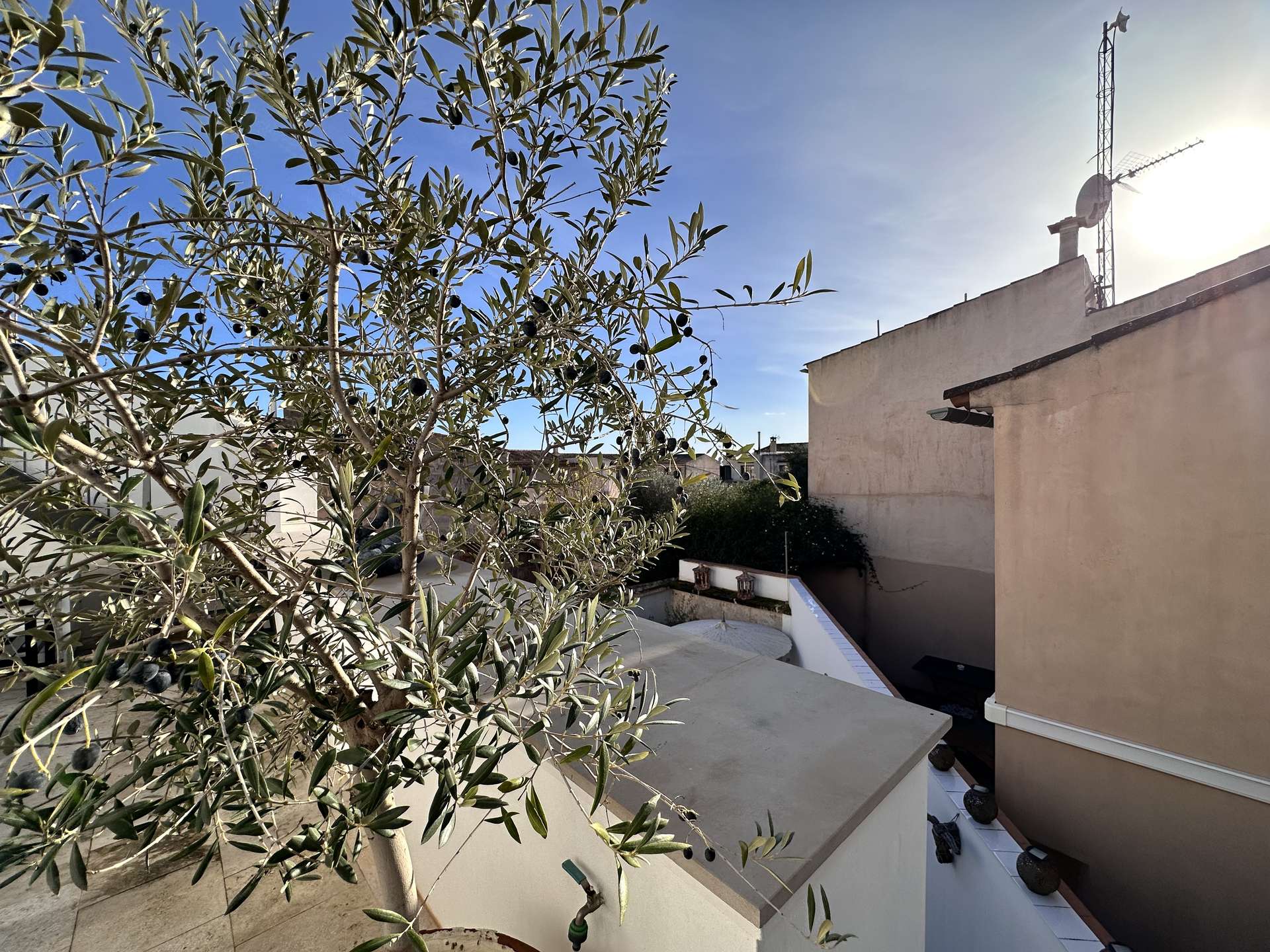 [object Object] - image