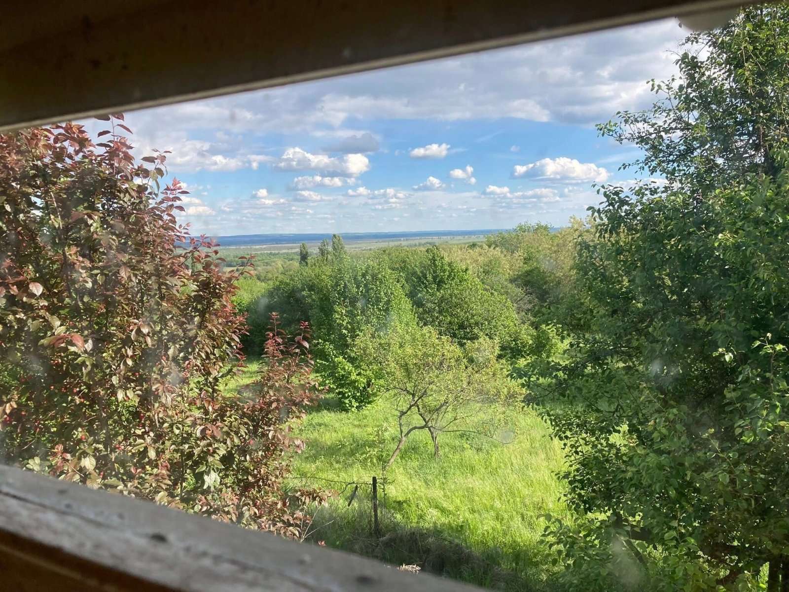 [object Object] - image