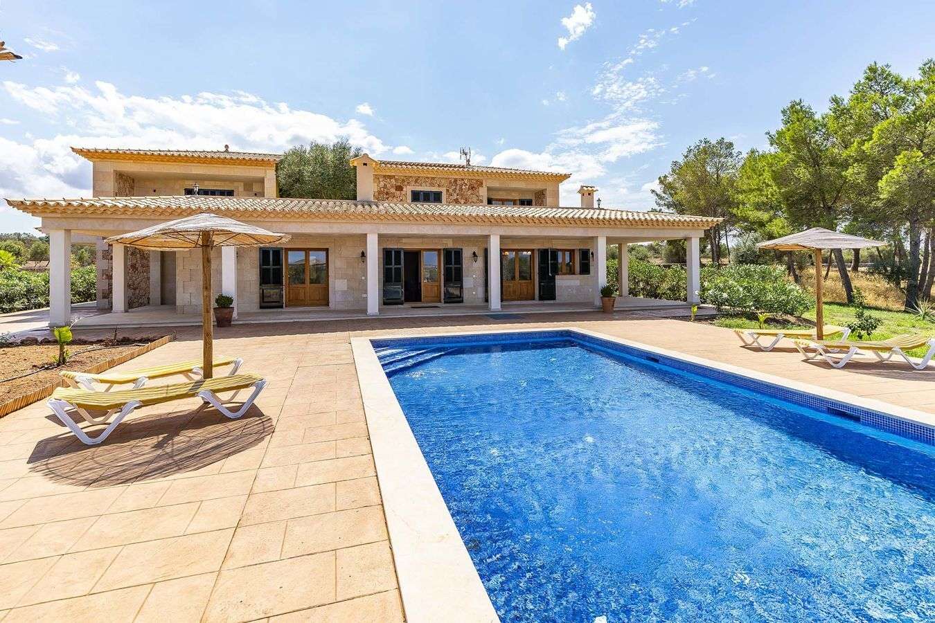 [object Object] - image