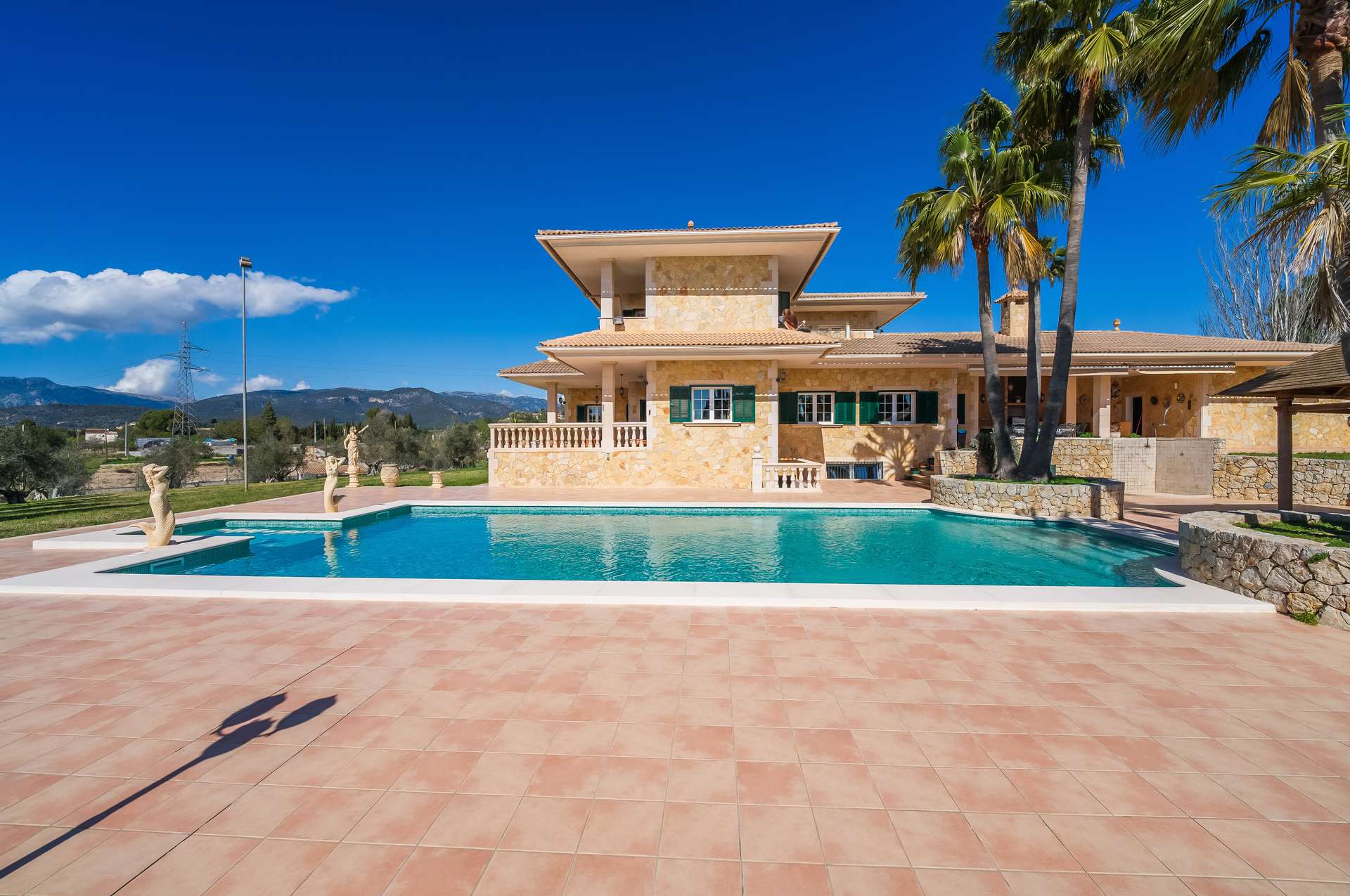 [object Object] - image