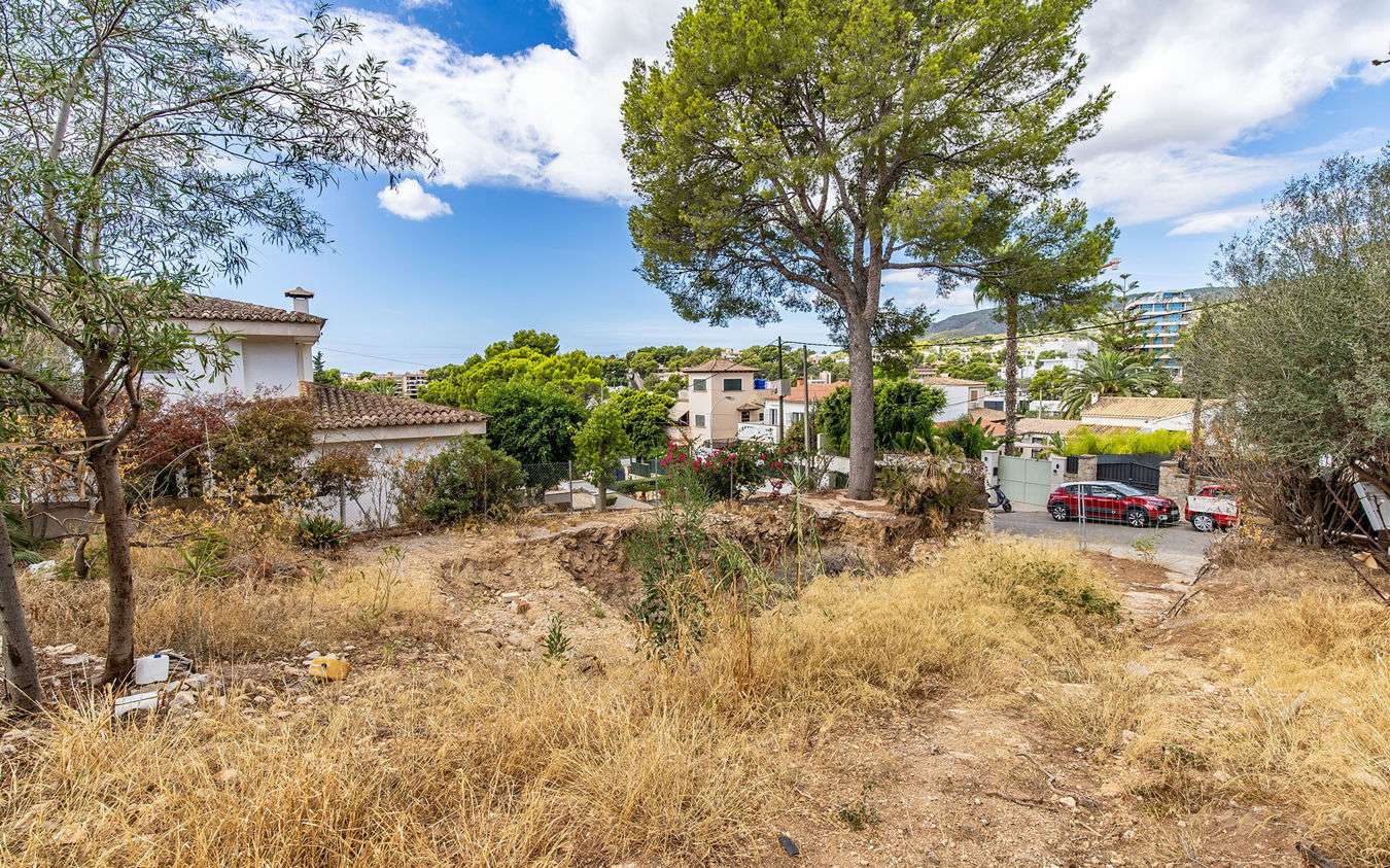 [object Object] - image