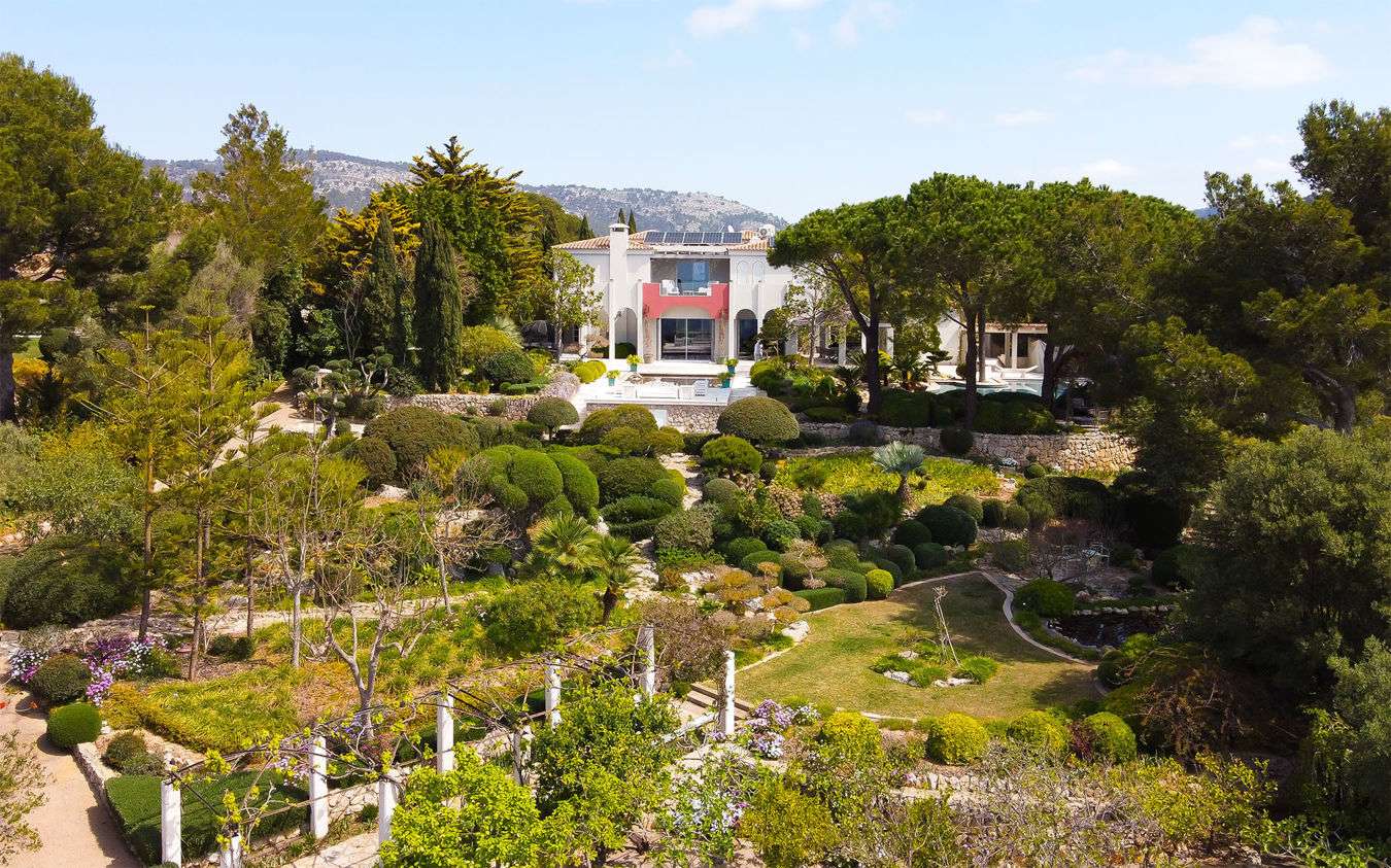 [object Object] - image