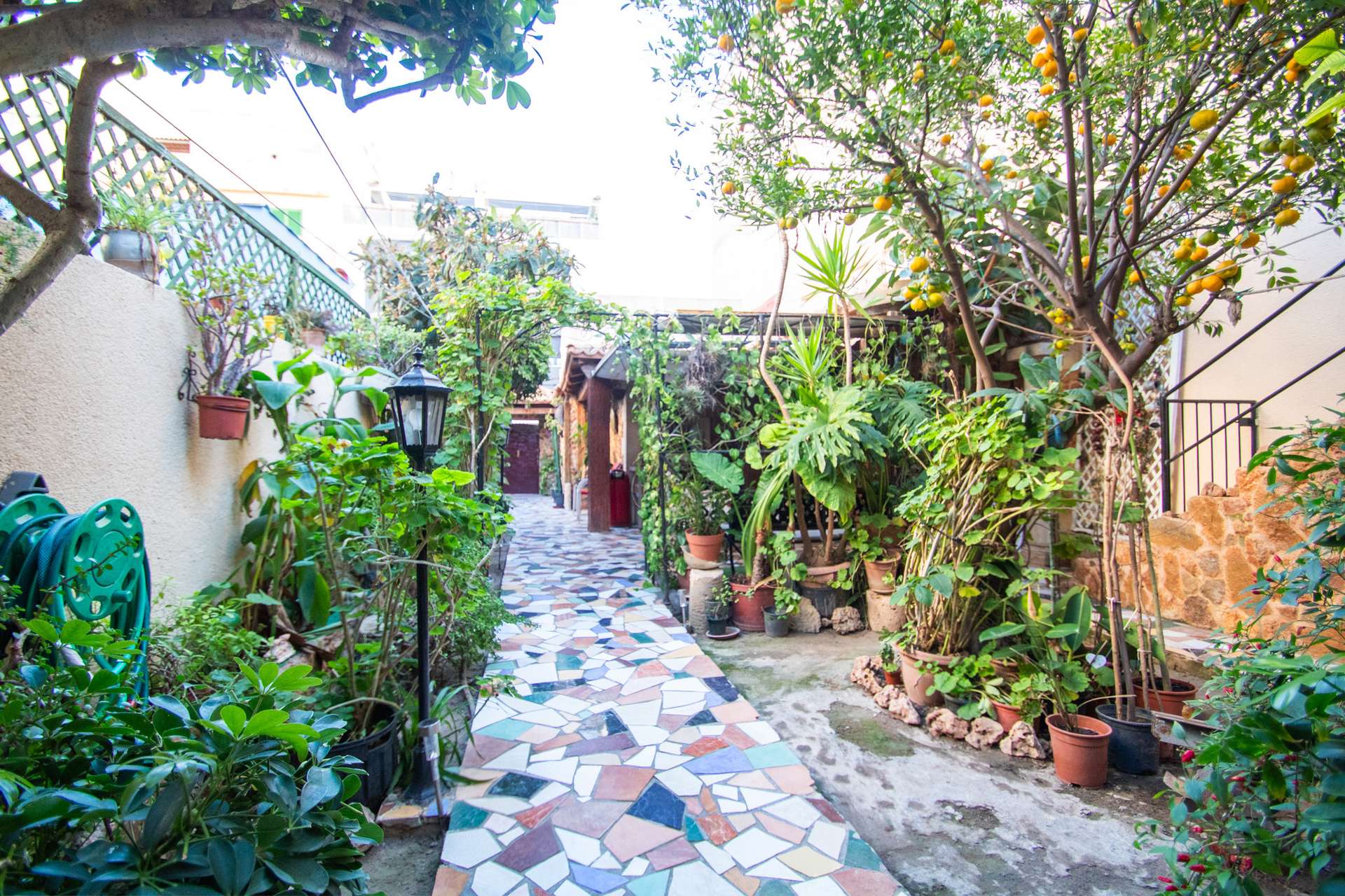 [object Object] - image