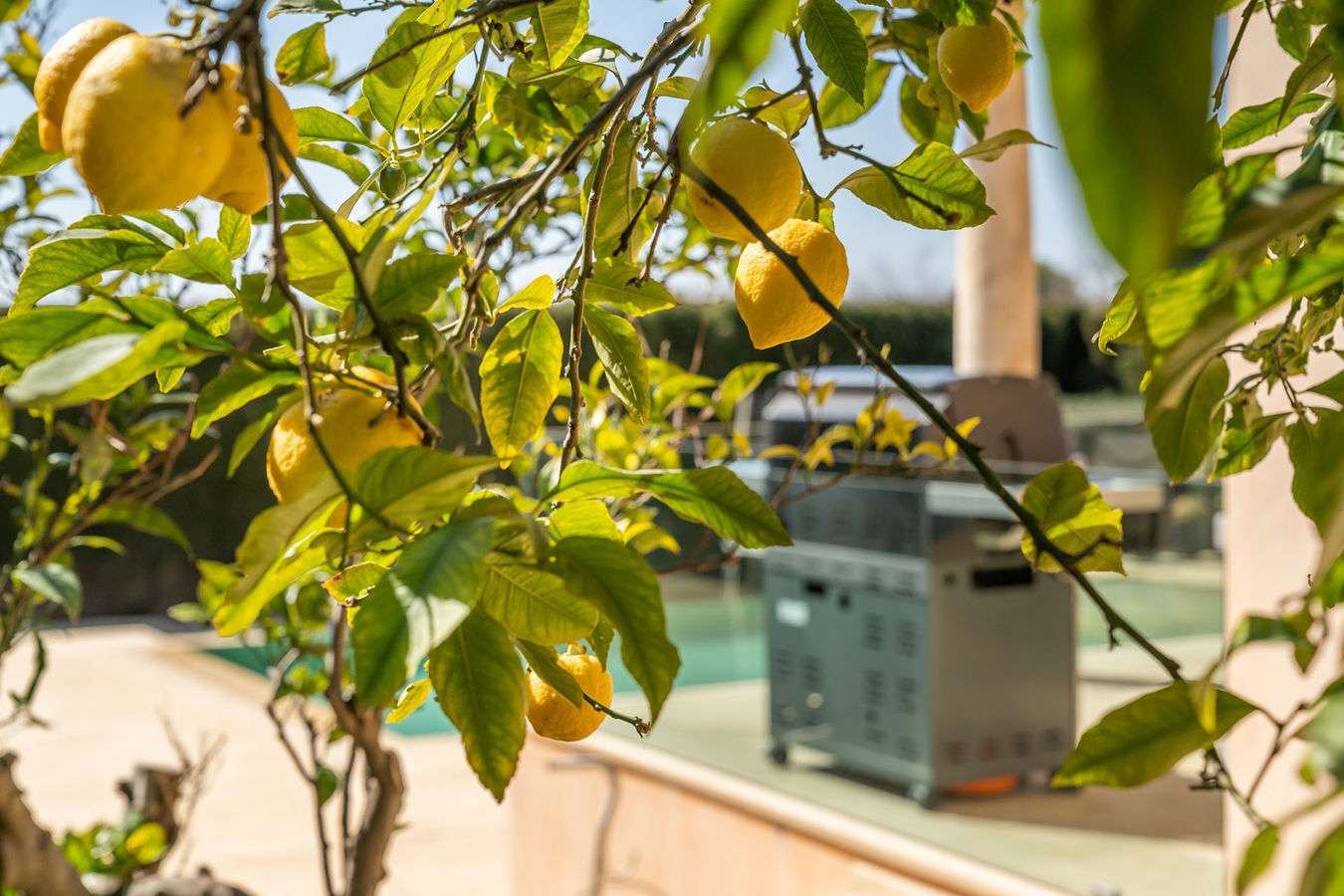 [object Object] - image