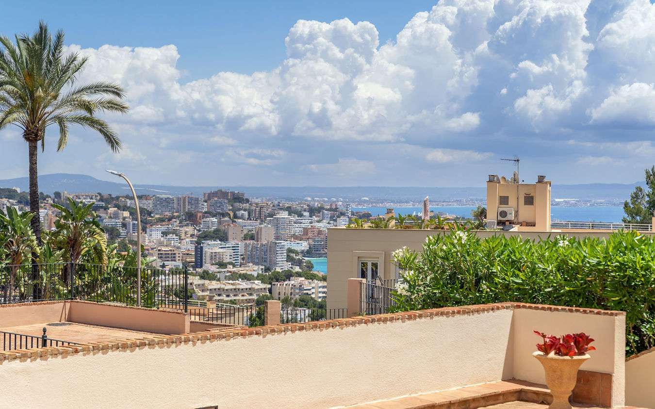 [object Object] - image