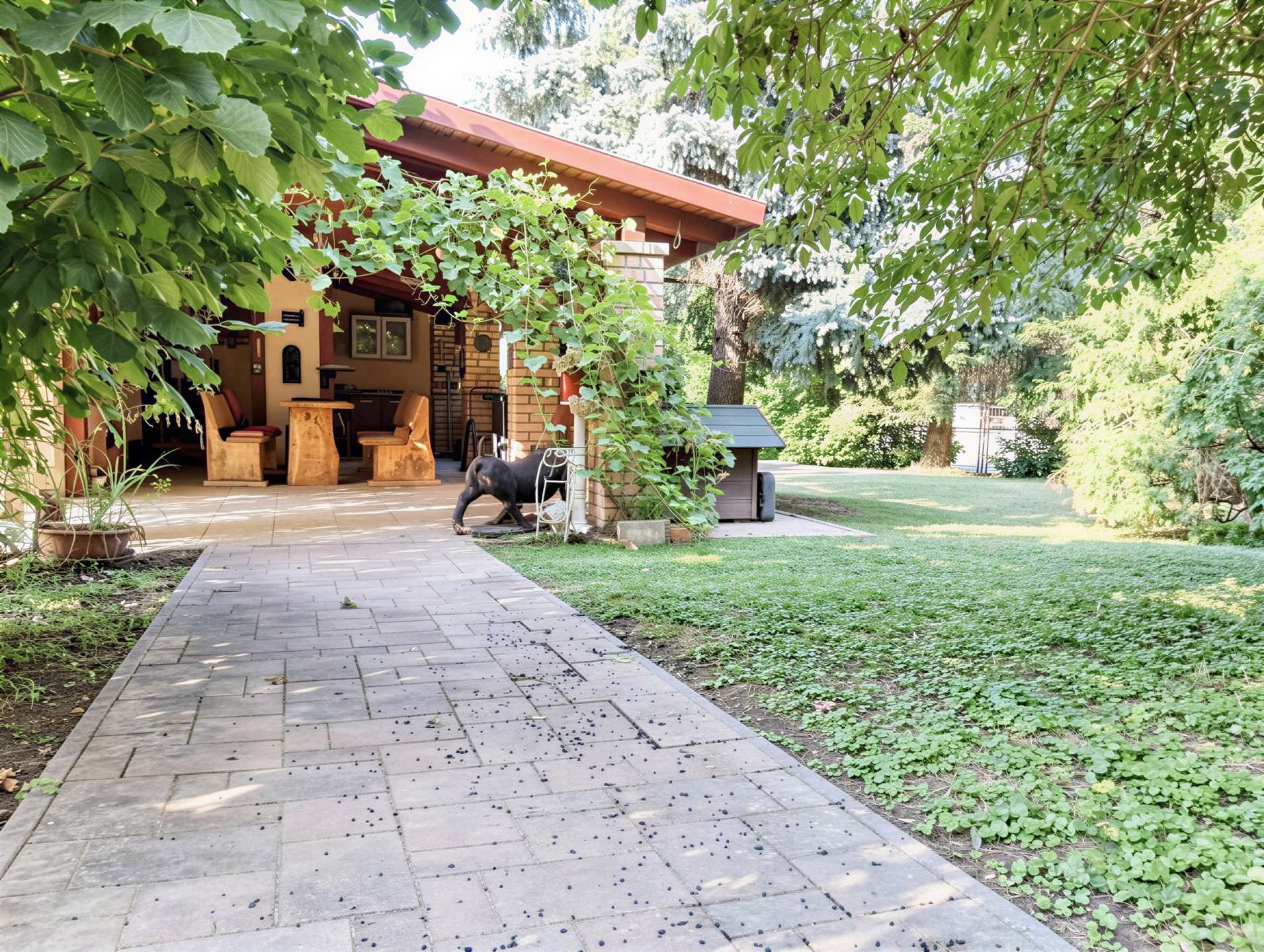 [object Object] - image