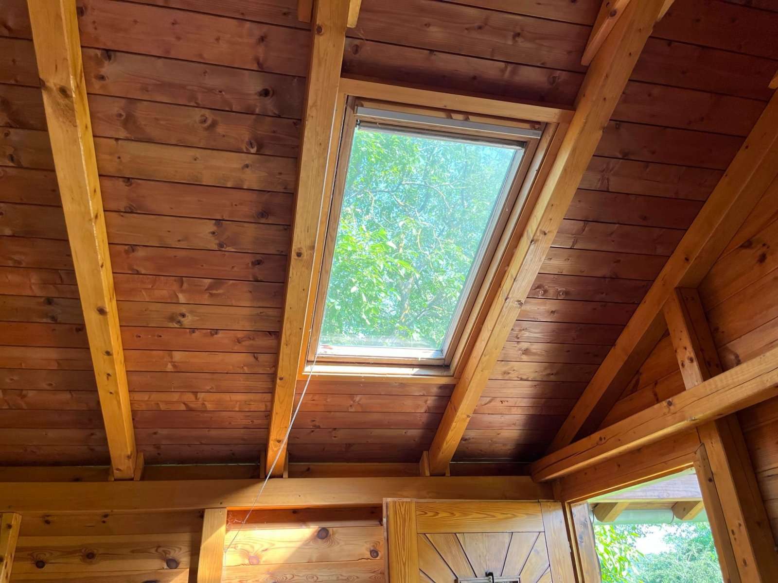 [object Object] - image