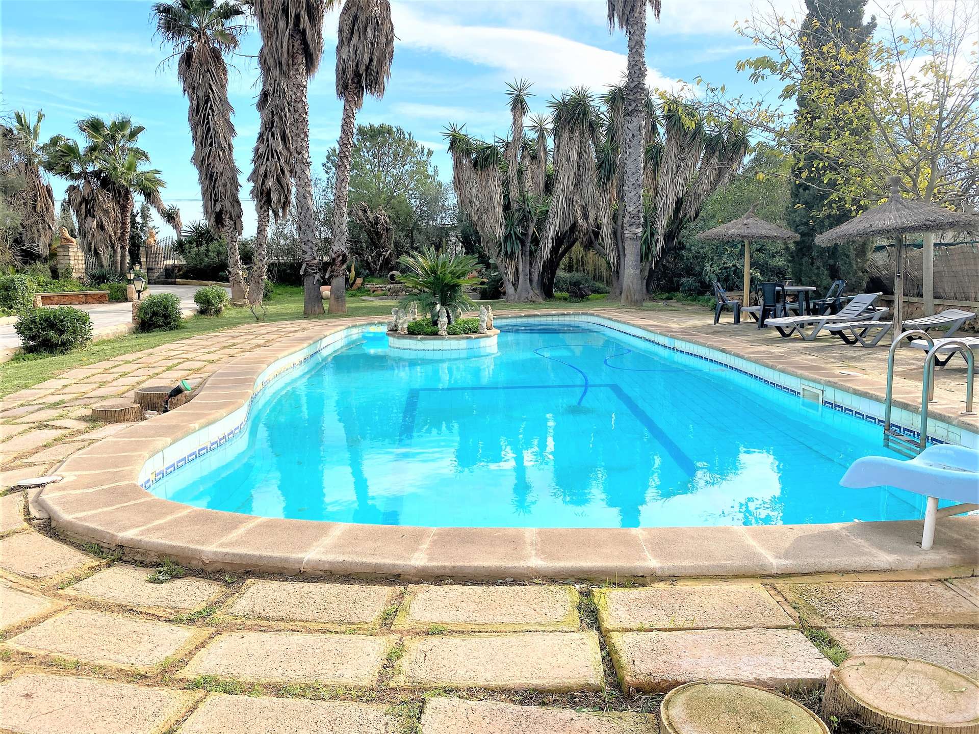 [object Object] - image