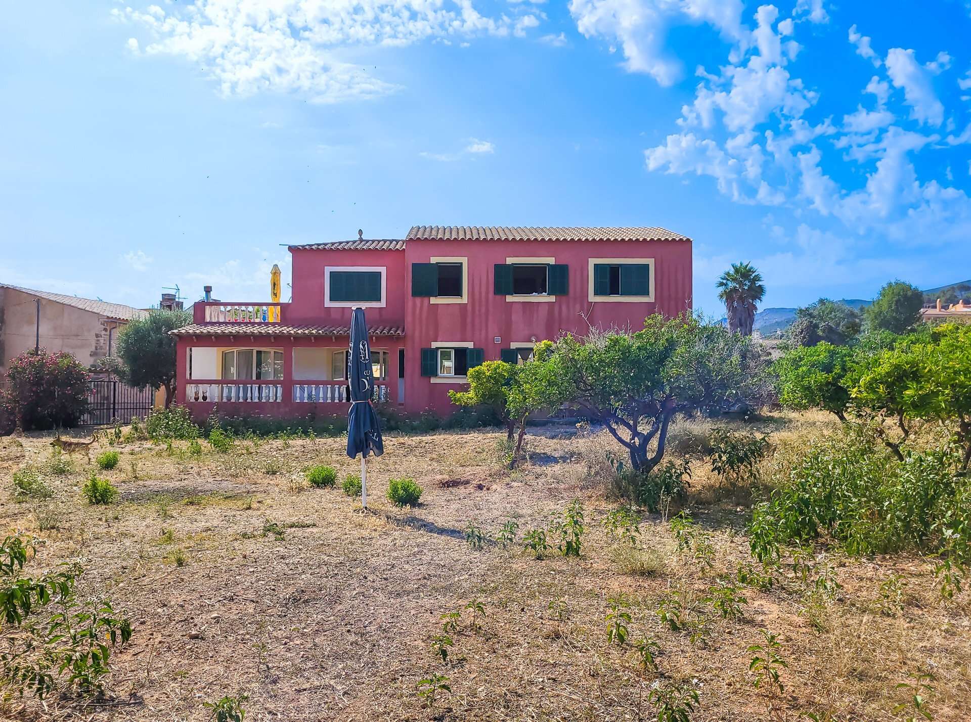 [object Object] - image