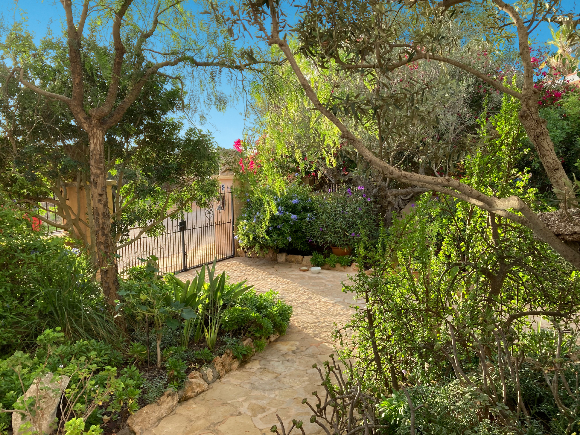 [object Object] - image