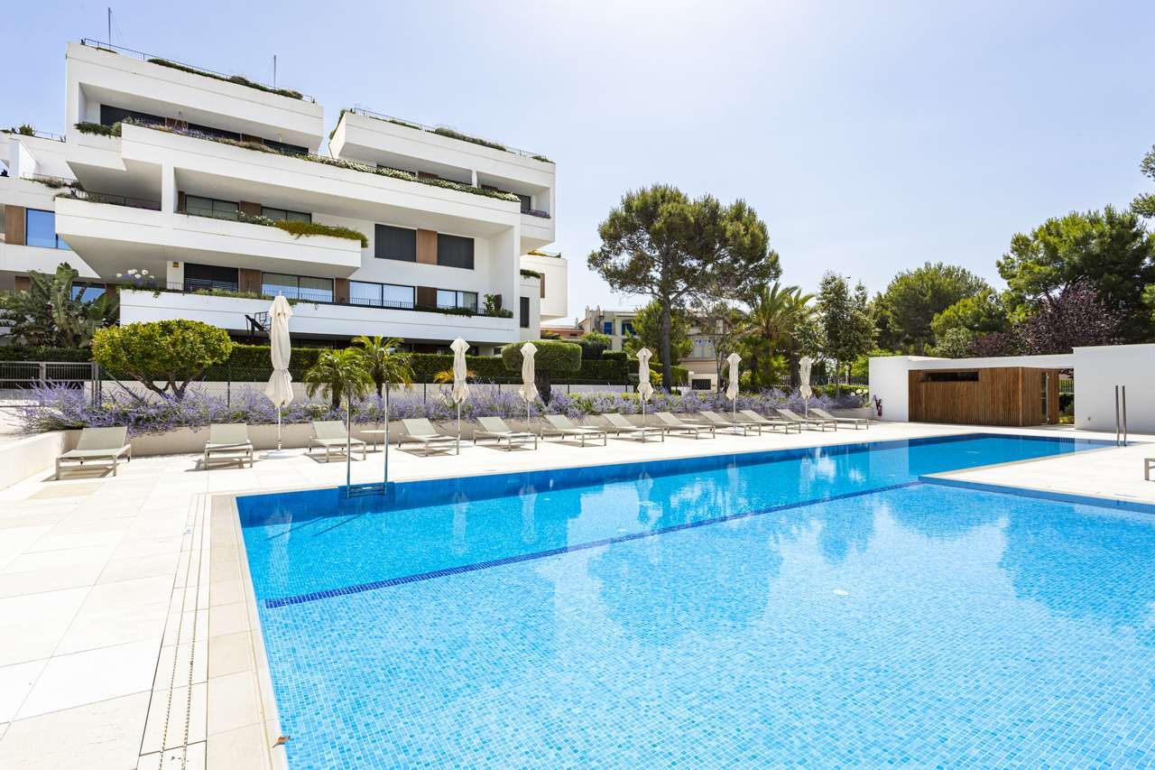 [object Object] - image