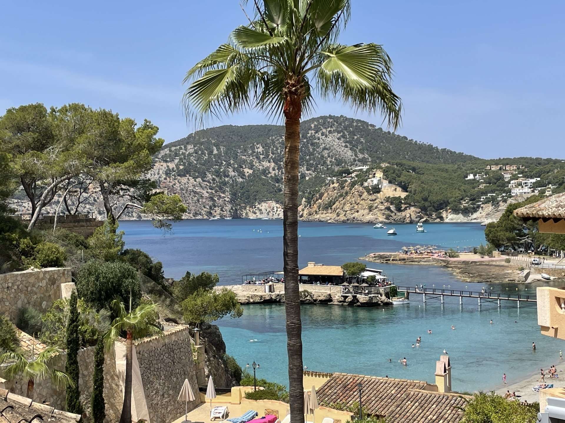 [object Object] - image