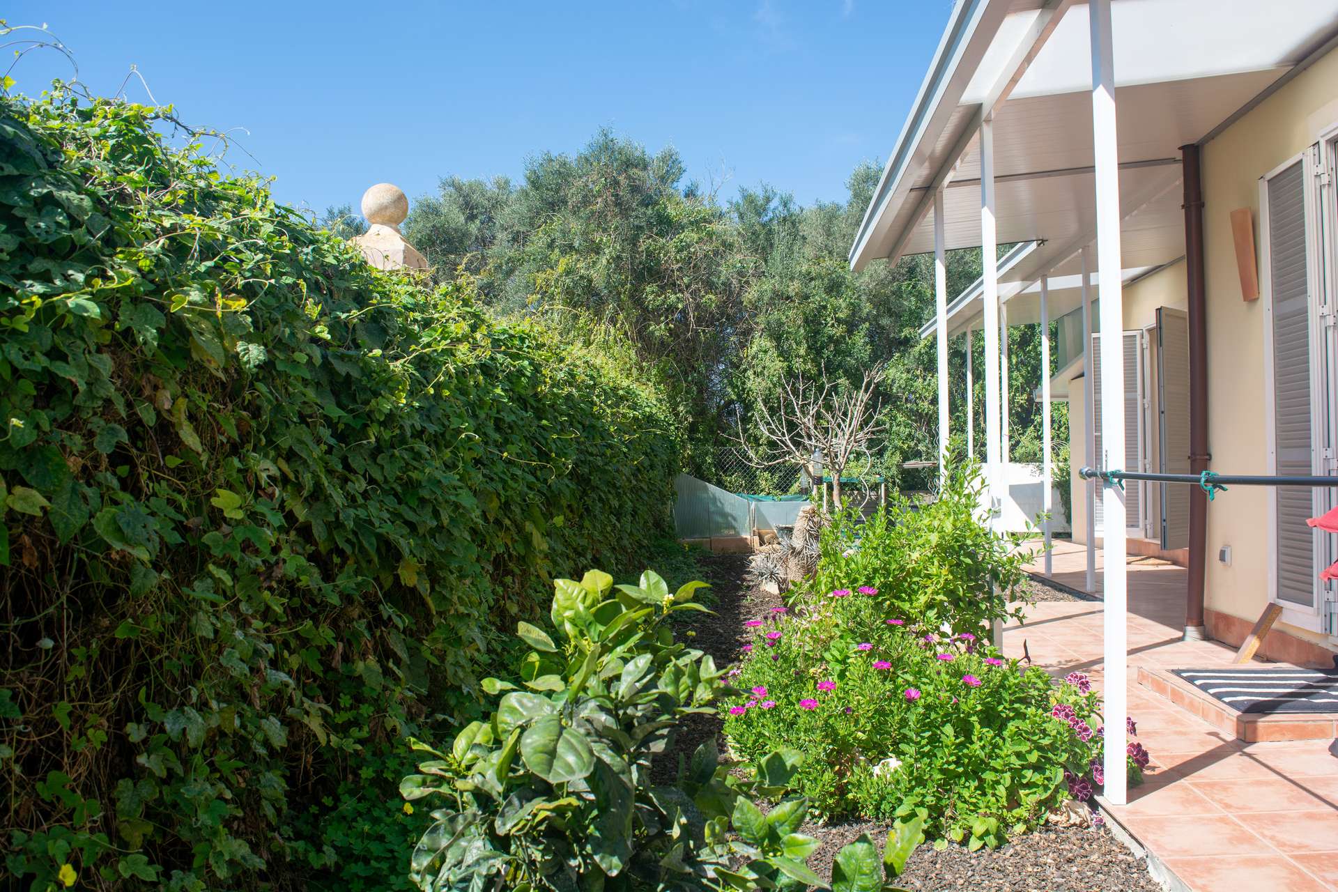 [object Object] - image