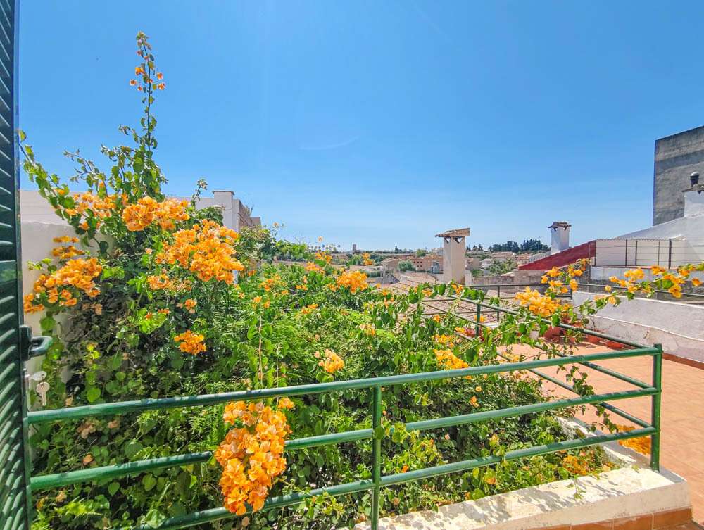 [object Object] - image